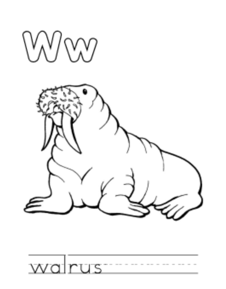 Walrus Animal Free Alphabet S6d06 Coloring Page