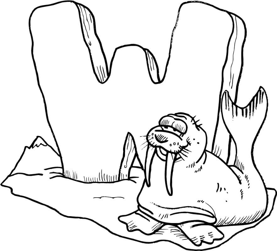 Walrus Letter W 1 Coloring Page