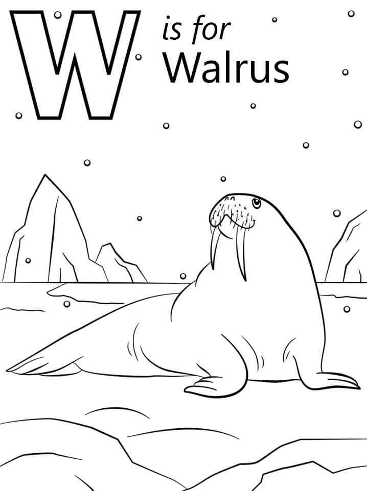 Walrus Letter W Coloring Page