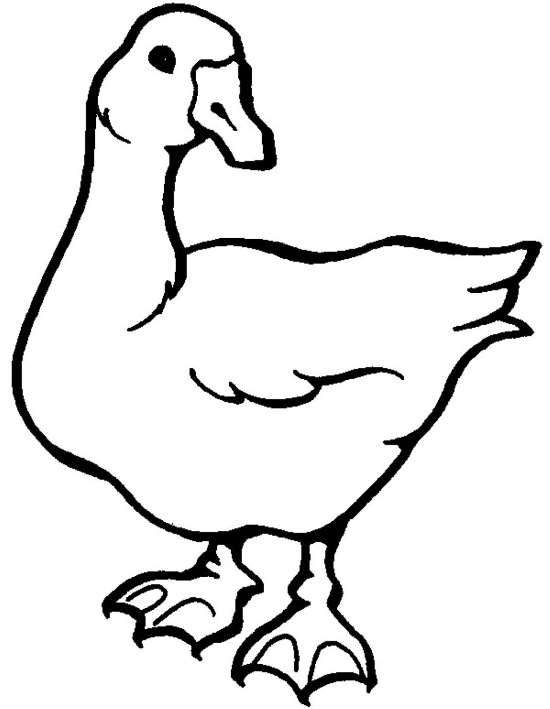 White Goose Printable Animal Sa936 Coloring Page
