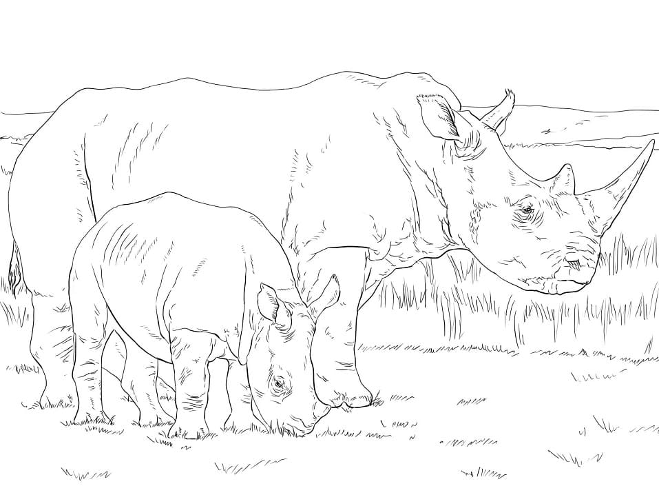White Rhino Mother and Baby Coloring Page