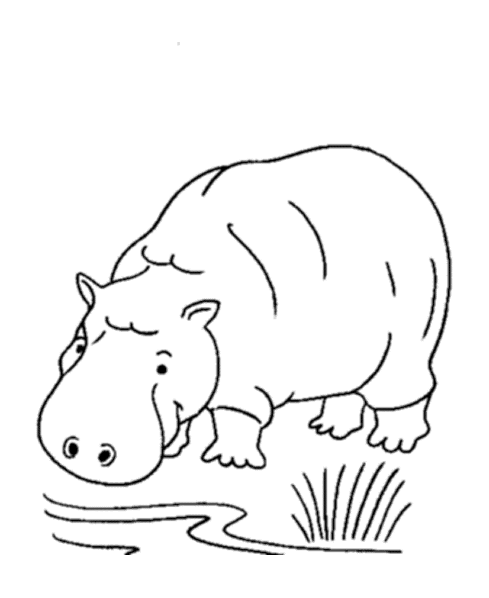 Wild African Animal S Hippo843f Coloring Page