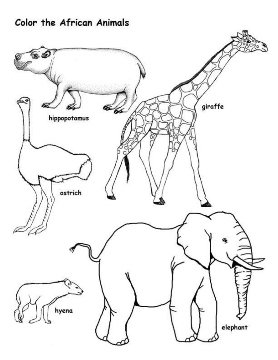 Wild African Animal S32c1 Coloring Page