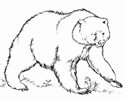 Wild Bear Coloring Page