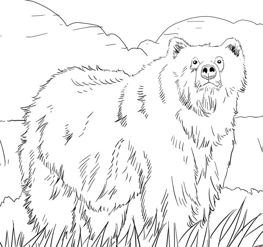 Wild Brown Bear Coloring Page