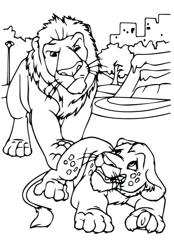 Wild Kratts Lion