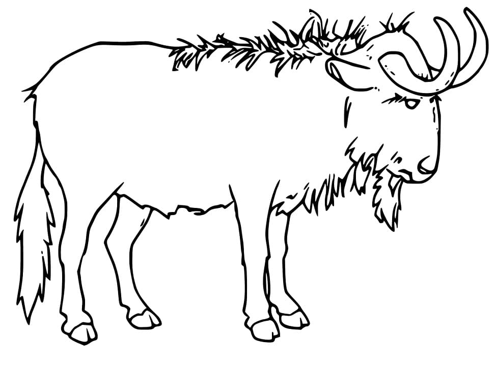 Wildebeest 1 Coloring Page