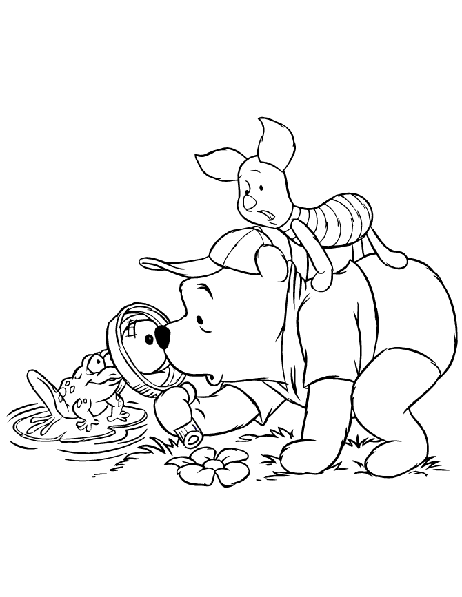 Winnie The Pooh Checking Frog