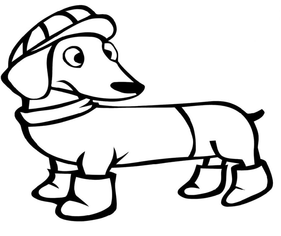 Winter Dachshund Coloring Page