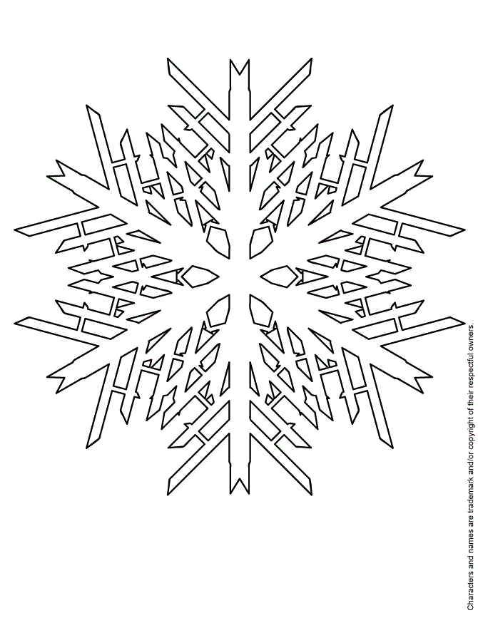 Winter Snowflake Design