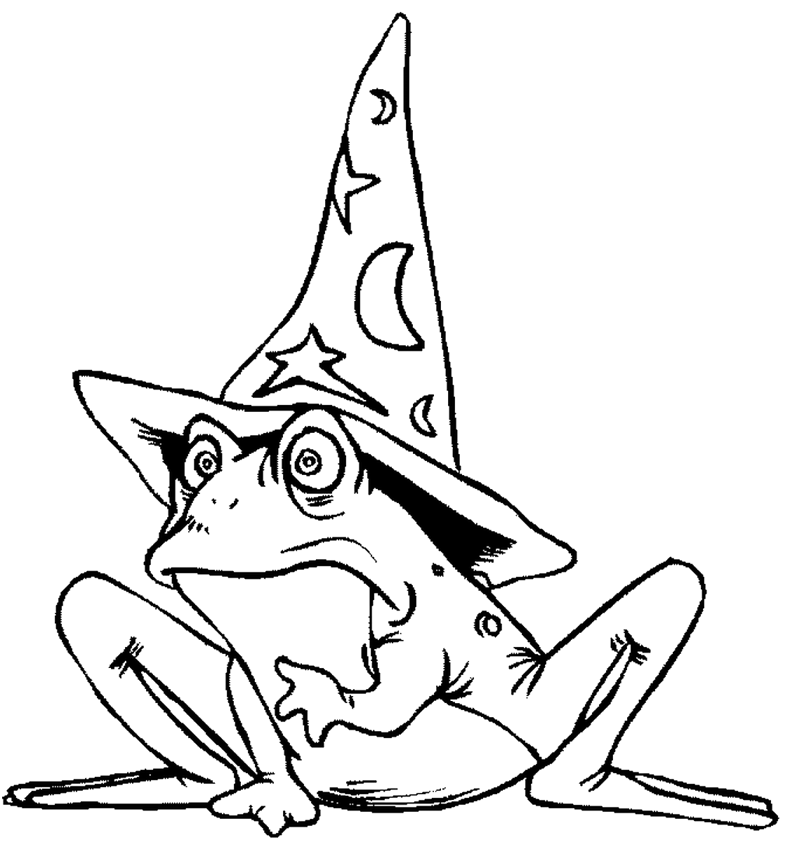 Wizard Magic Frog