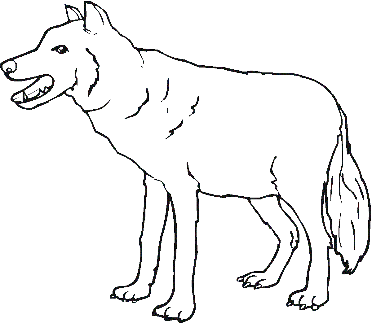 Wolf 10 Coloring Page