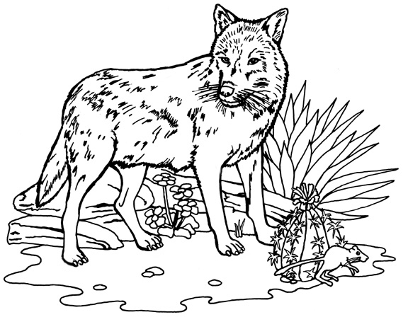 Wolf Activities Coloring Page