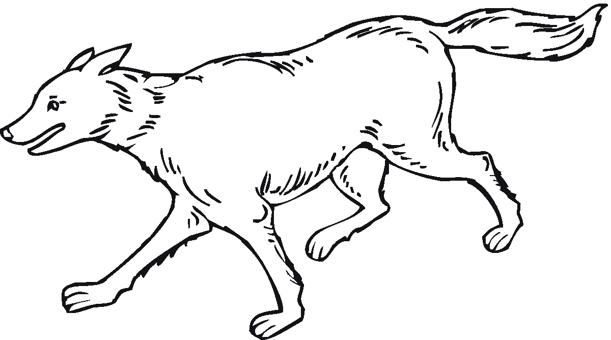 Wolf Is Running Coloring Page