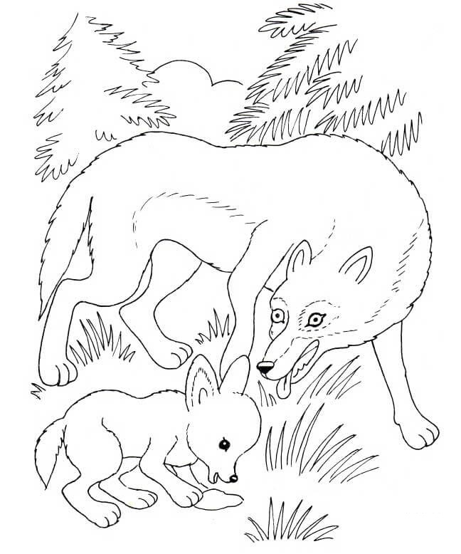 Wolf Mother And Wolf Cub