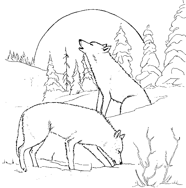 Wolf S For Adults Coloring Page