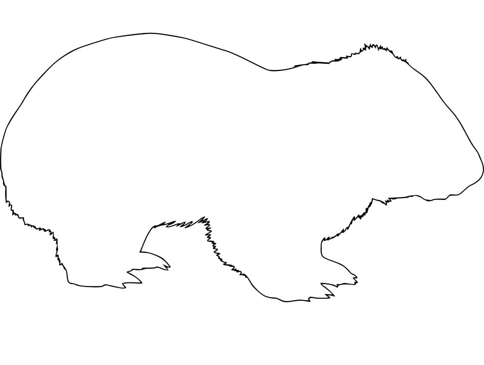 Wombat Lineart