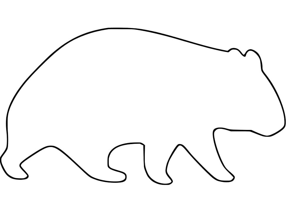 Wombat Outline