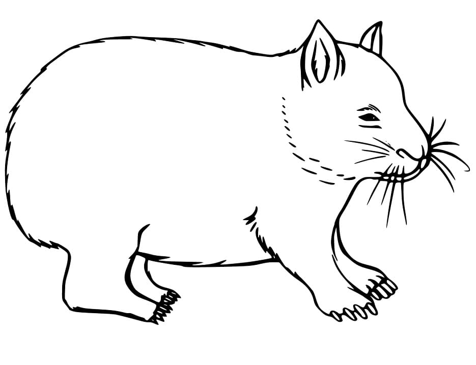 Wombat Printable
