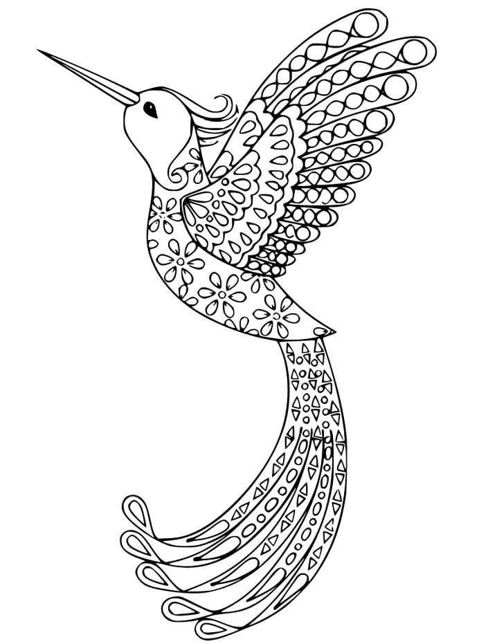 Wonderful Bird of Paradise Coloring Page