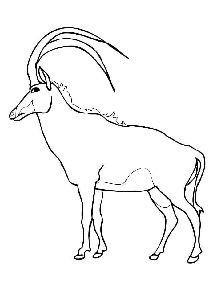 Wooded Savannah Sable Antelope Coloring Page