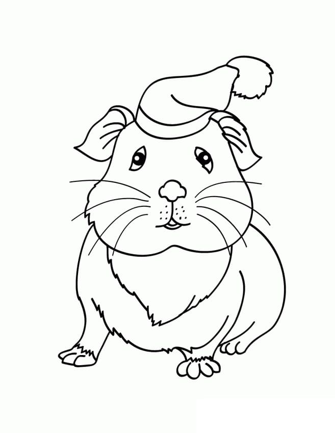 Xmas Guinea Pig Coloring Page