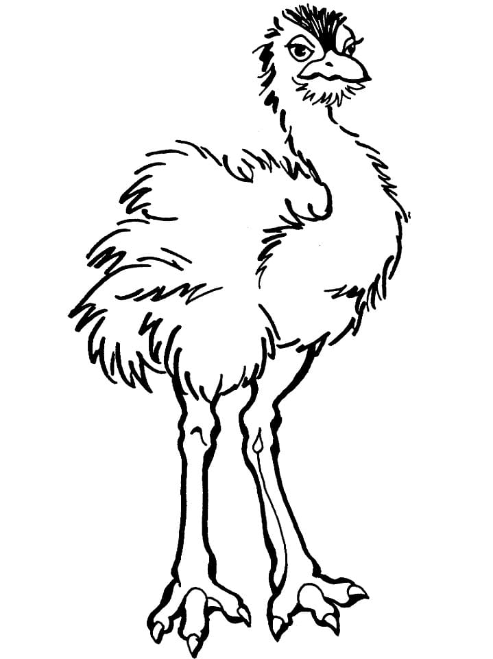 Young Ostrich Coloring Page