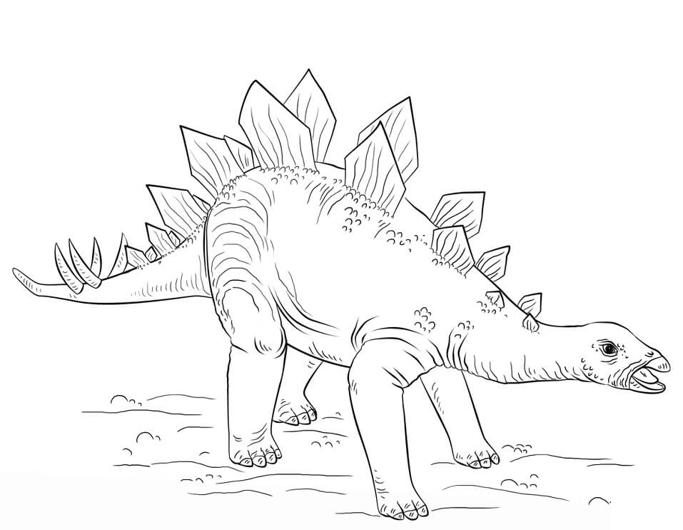 Young Stegosaurus Coloring Page