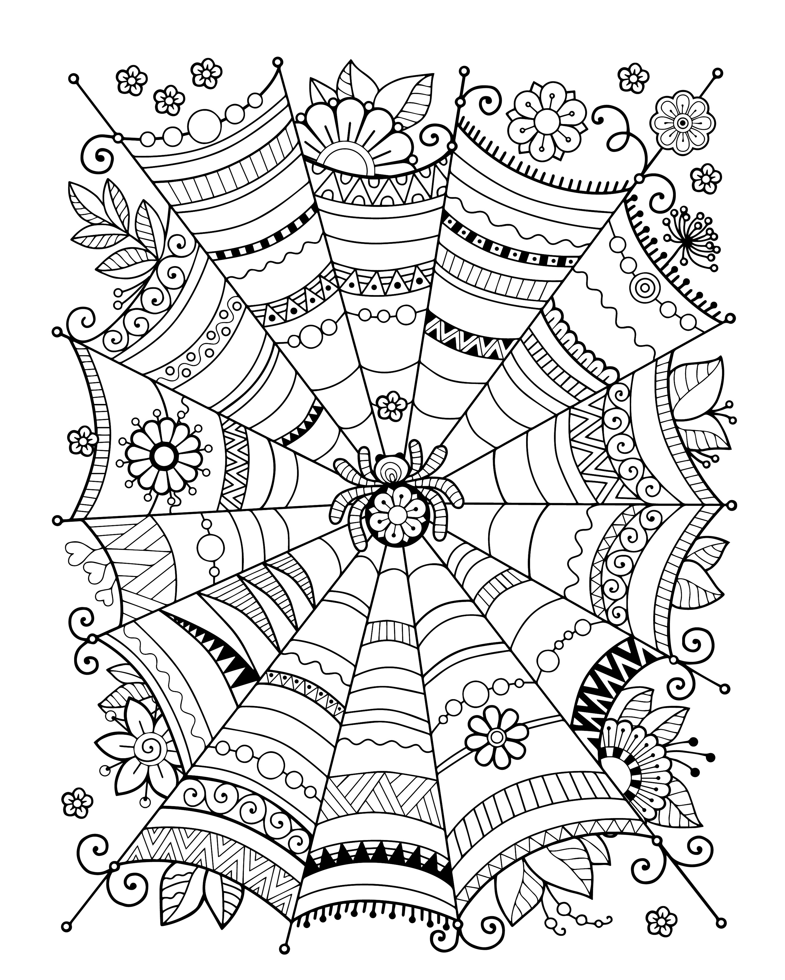 Zentangle Spider Web Adult Halloween Coloring Page