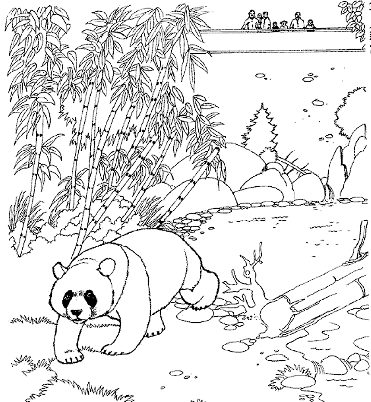 Zoo Panda Free Printable Animal S160c Coloring Page