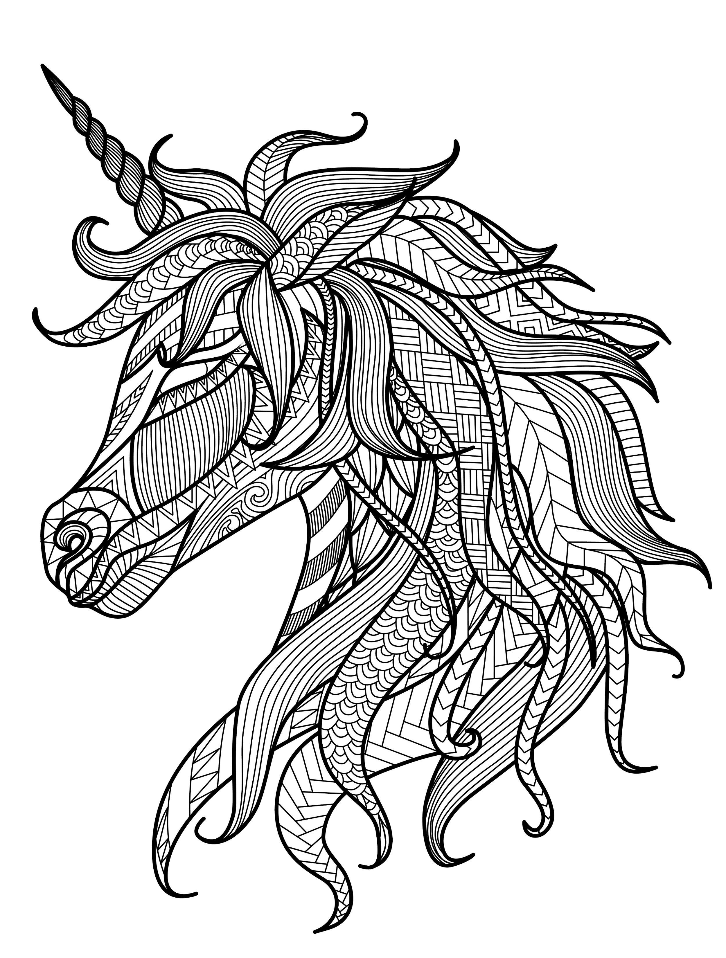 Adult Unicorn 1 Cool Coloring Page