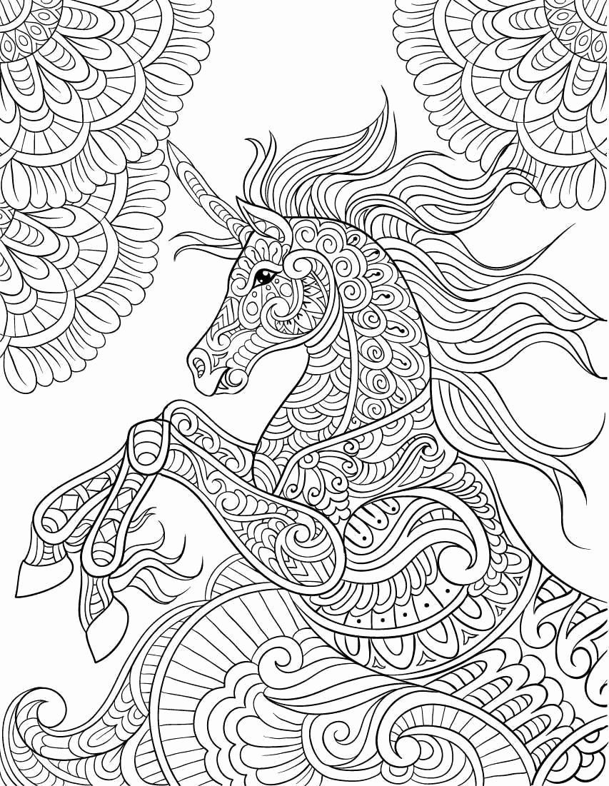 Adult Unicorn 19 For Kids Coloring Page