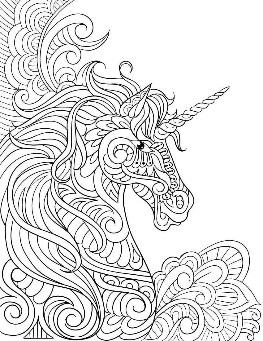 Adult Unicorn 24 Cool Coloring Page