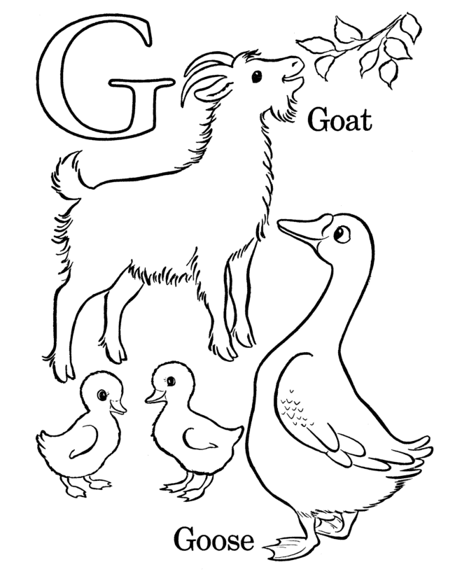 Alphabet Animal 18 Cool Coloring Page