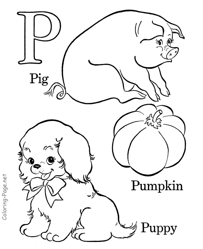 Alphabet Animal 24 Cool Coloring Page