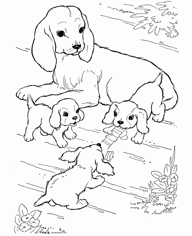 Alphabet Animal 30 Cool Coloring Page