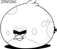 Angry Bird Thinking For Kids