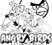 Angry Bird And Friends Cool