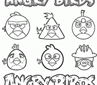 Angry Bird 28 Cool