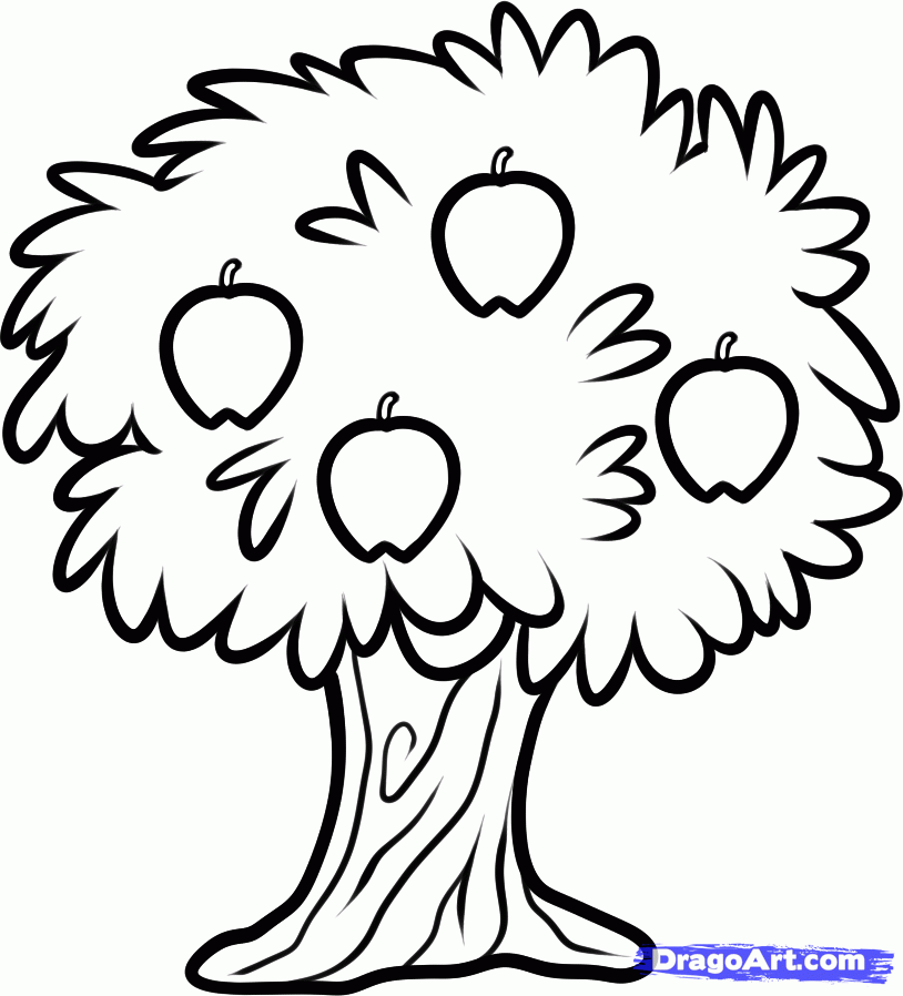 Apple Fruit 12 For Kids Coloring Page