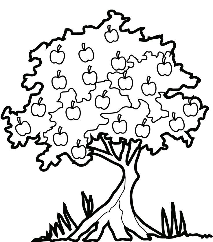 Apple Fruit 33 Cool Coloring Page