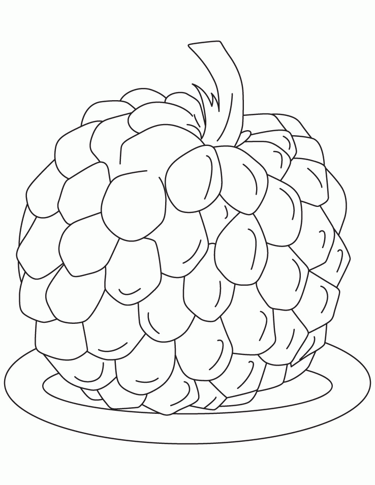 Apple Fruit 47 For Kids Coloring Page
