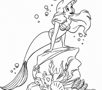 Ariel The Mermaid 5 For Kids