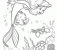 Ariel The Mermaid 9 For Kids
