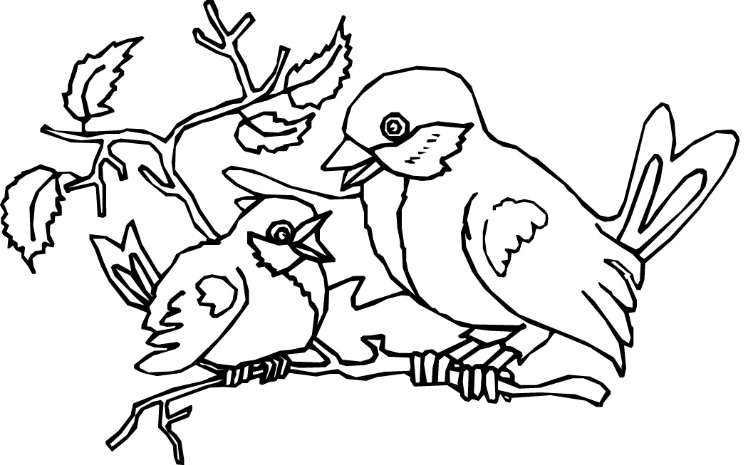 Bird 13 Cool Coloring Page