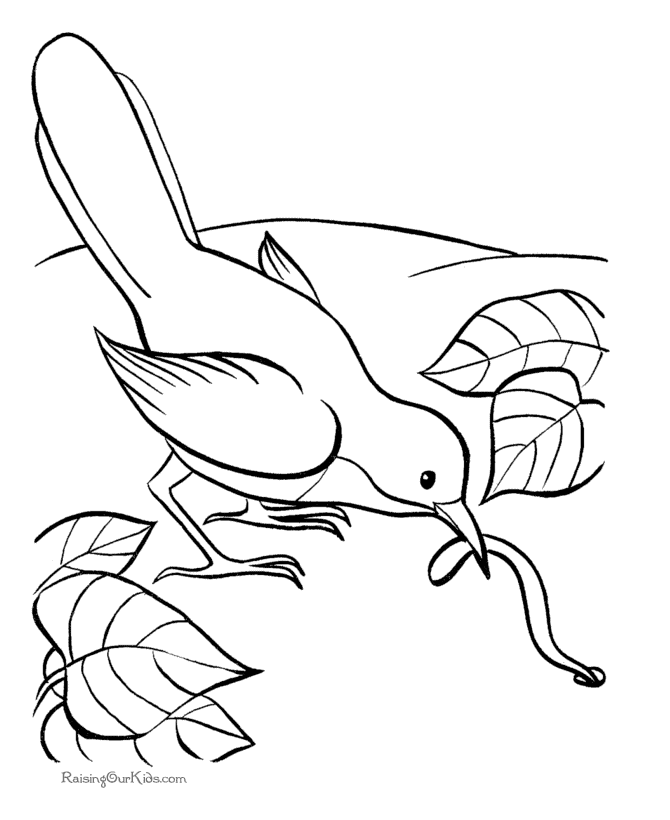 Bird 17 Cool Coloring Page