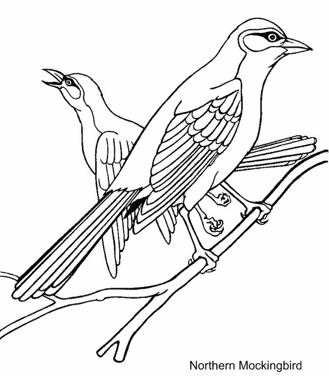 Bird 2 For Kids Coloring Page