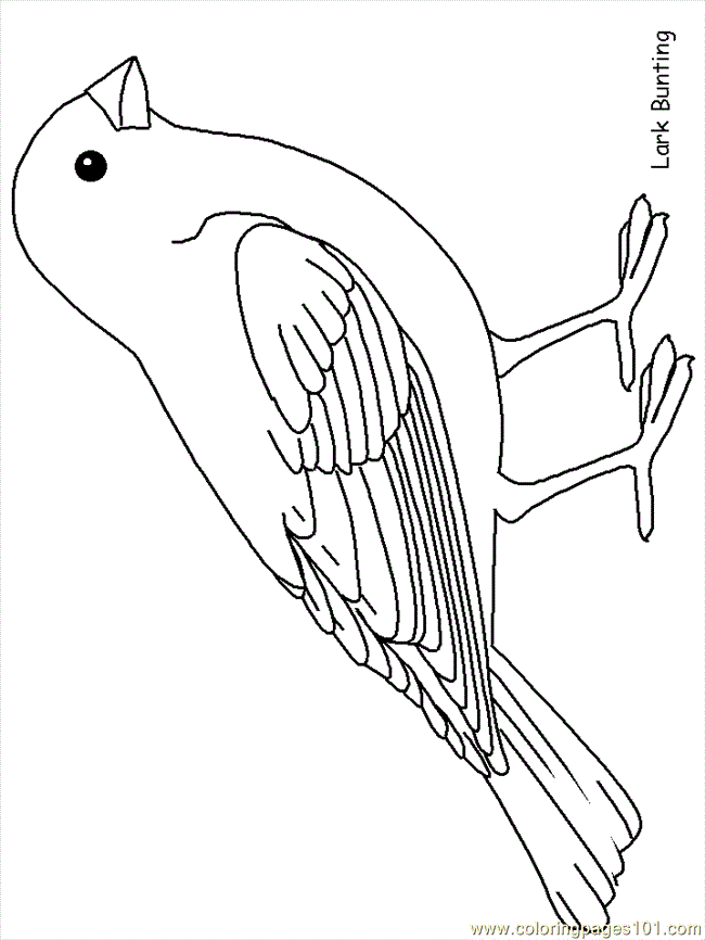 Cool Bird 24 Coloring Page