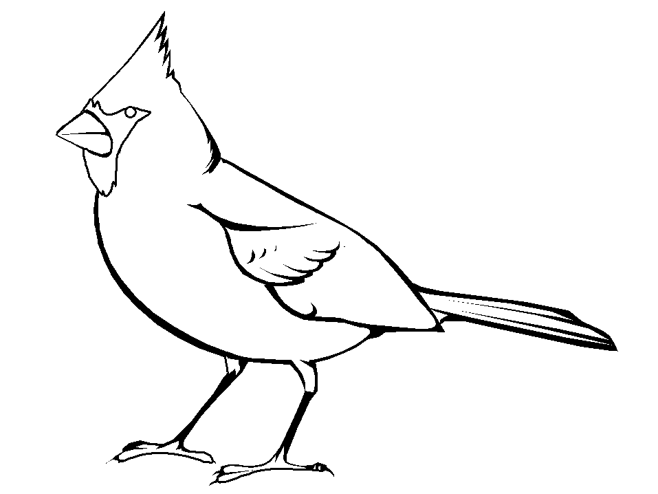Bird 26 For Kids Coloring Page