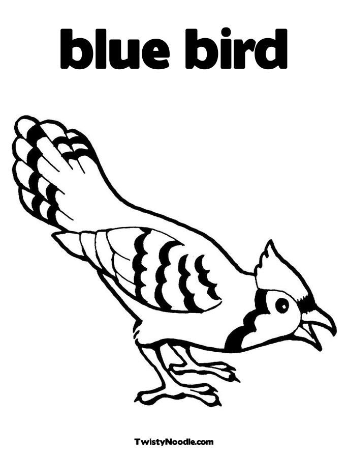 Bird 29 Cool Coloring Page